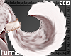 ♦| Furry Tail