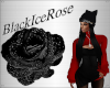 [BIR]Diva *black