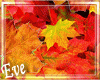 ♣ Autum Fall Leaves