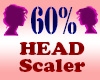 Resizer 60% Head