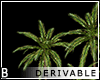 DRV Palm Trees 3