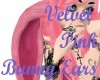 Velvet Pink Bunny Ears