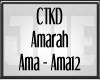 CTKD AMARAH 12