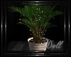 {UD} Vibe Plant+Lights