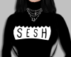 teamsesh