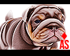 Adopt a Bulldog 5