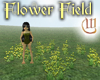 Flower Field - Yellow
