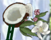 .:Coconut and Magnolia:.
