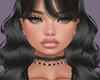 Canisse Black/Bangs Req