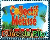 [P] La Dune du Pilat+D