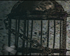 [Ps] Imprisonment Cage