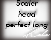 !A Scaler head long