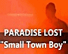 Paradise Lost Small Town