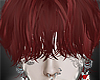 𝟭. Ken red