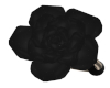Black Rose Bracelets