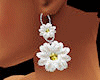 xo}Pretty daisy earrings