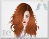 EC| Yu Nan Ginger II