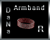 [DaNa]Red Armband Right