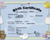 Birth Certificate Twin2