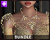 Outfit - Golden Lady