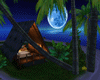 Night Island (ROOM)