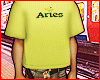 aries shirt