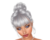Silver Braided Updo