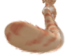 Sabertooth Tiger Tail v1