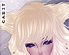 [c] Blonde Neko Ears v1