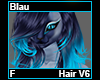 Blau Hair F V6