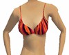 Hot Stripey Bikini Top