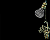 Z* Cleopatra Crown V1