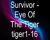 DWH  Eye Of The Tiger