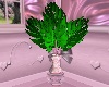 VIC Princess Plant 1