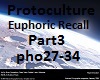 Protoculture Euphoric 3