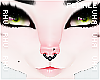 . Bork | Septum