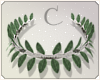🌿 Green Leaf  Crown