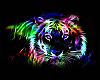 JA" Neon Tiger