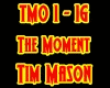 Tim Mason-The Moment