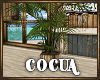 Cocua Potted Palm Plant