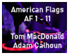 Di* American Flags