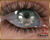 cK Eyes Ckryst Greyish