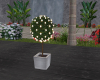Plant w lights