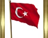 ANIMATED TURKISH FLAG