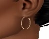 SMALL *GOLD*  HOOPS