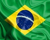 Brazil Triggered Flag