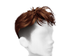 *B* DC Brown