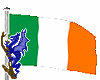 anim irish flag illumin
