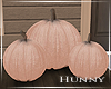 H. Pumpkins Terracotta 1