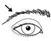 No Eyebrows